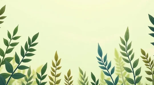 comment-les-plantes-medicinales-peuvent-elles-soutenir-votre-sante